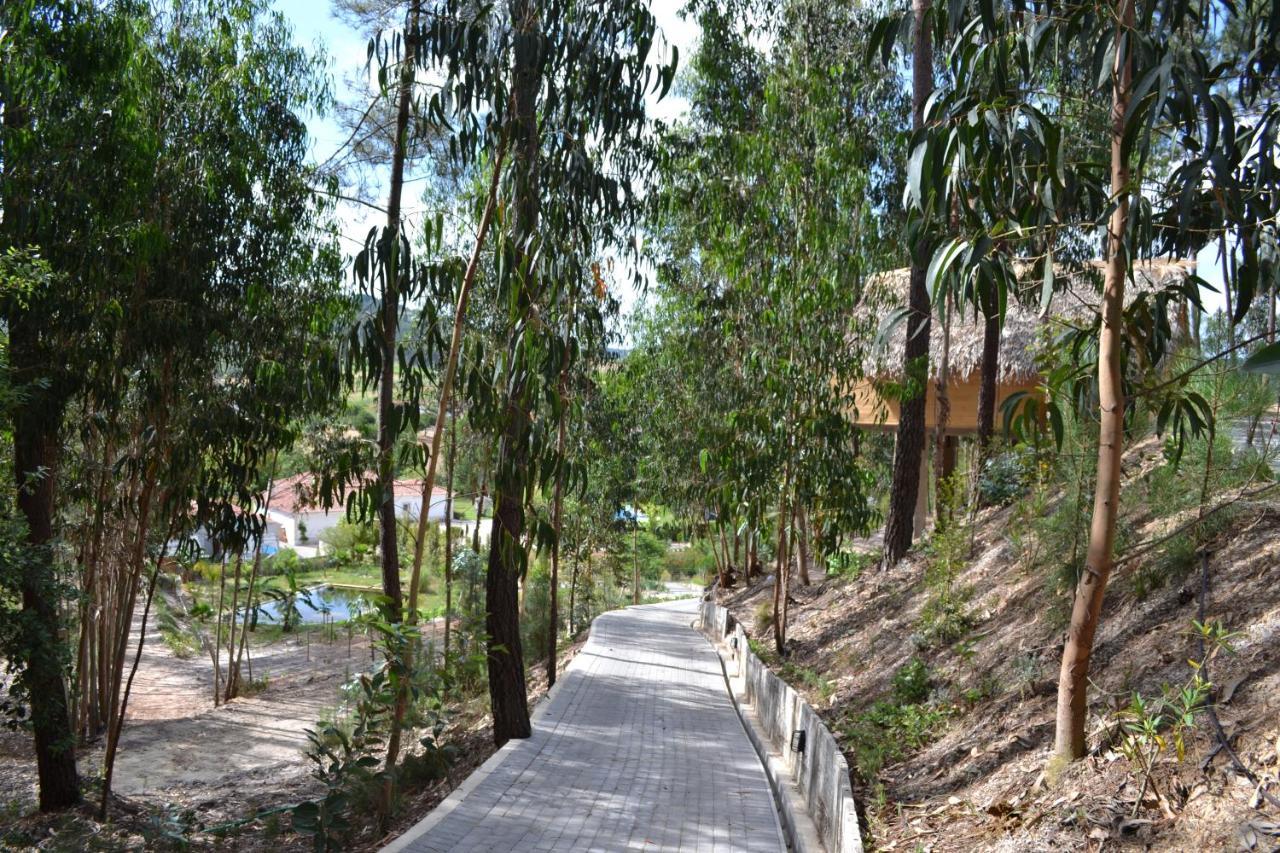 הוילה אלנקר Mountview מראה חיצוני תמונה