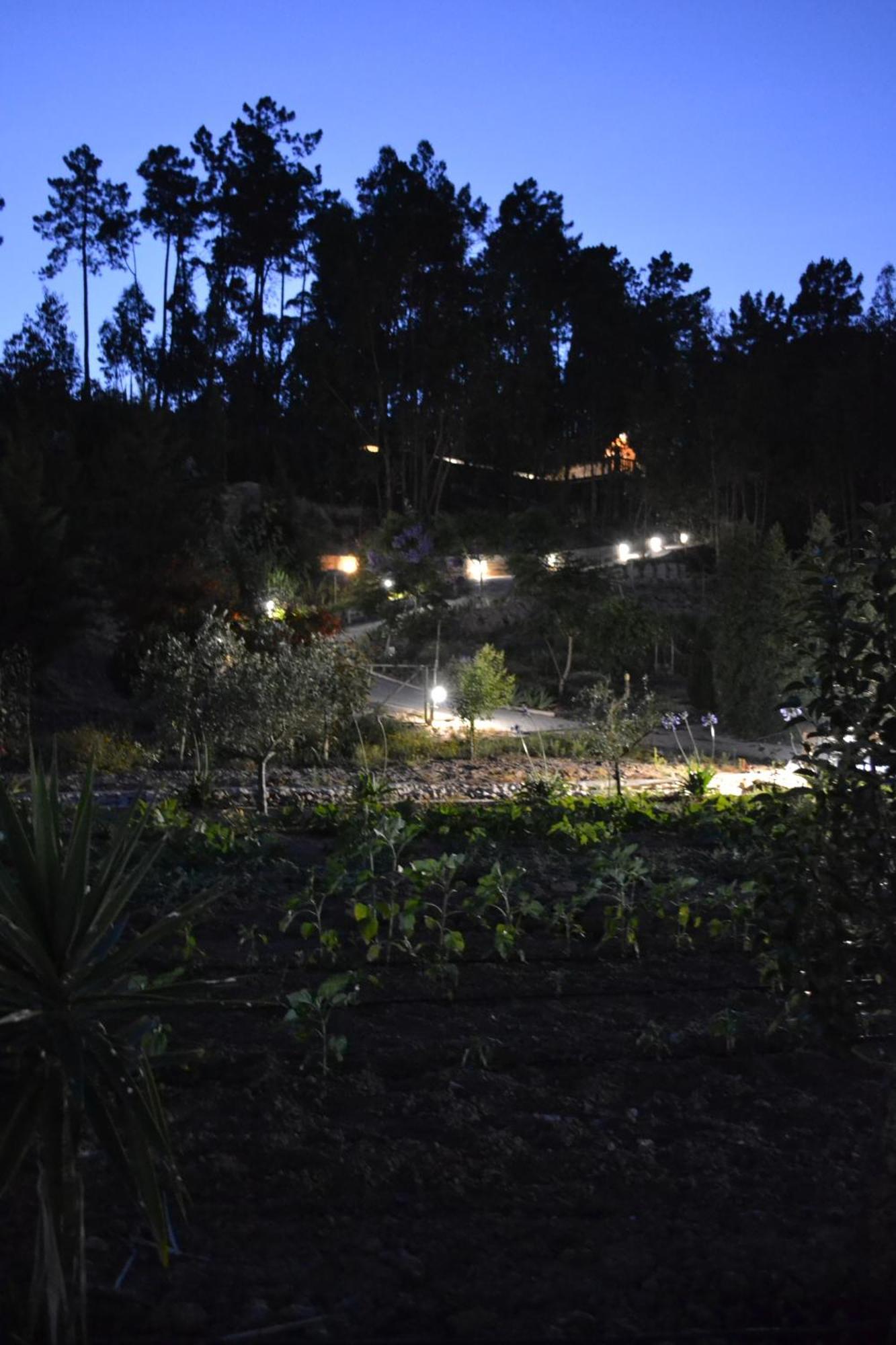 הוילה אלנקר Mountview מראה חיצוני תמונה