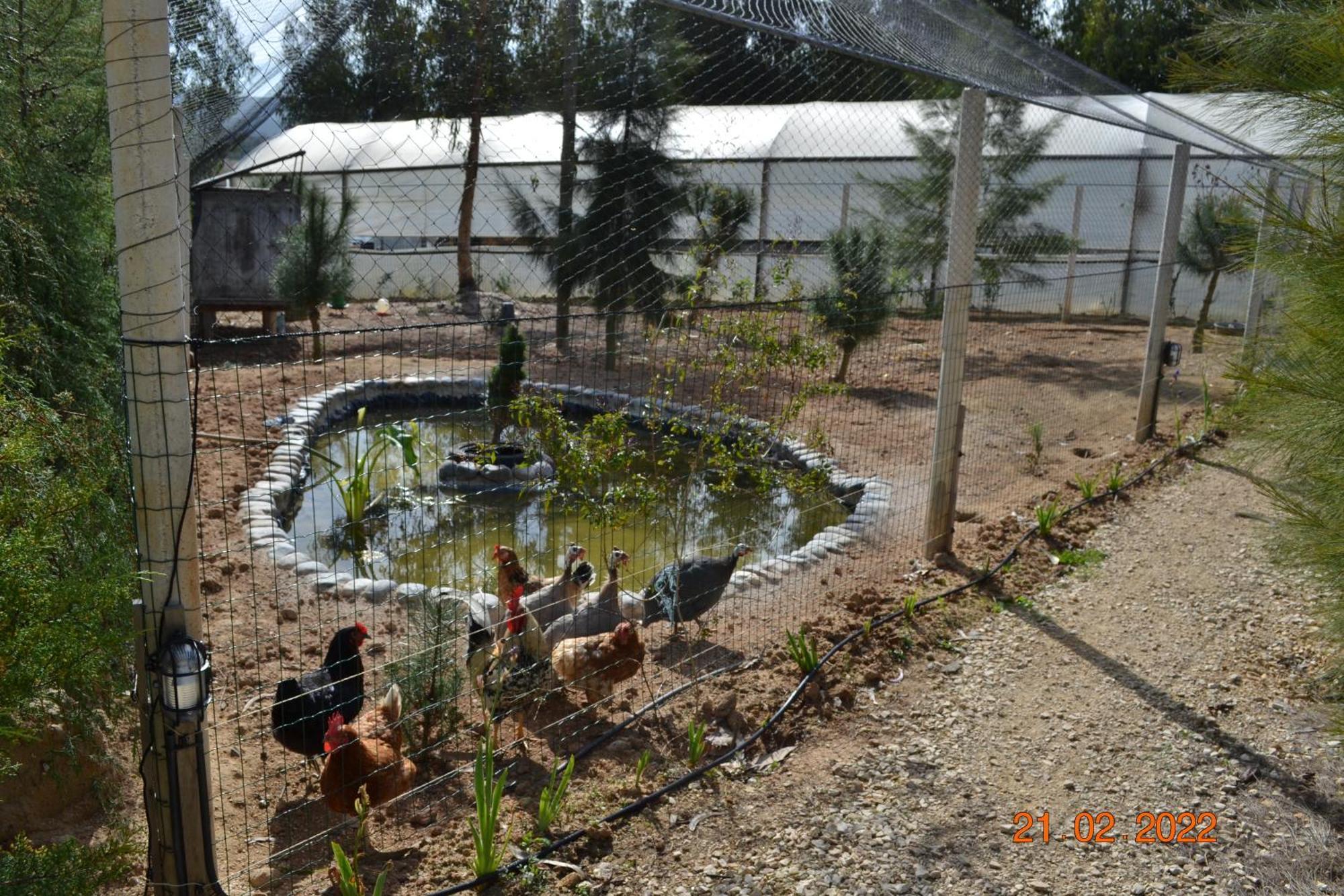 הוילה אלנקר Mountview מראה חיצוני תמונה