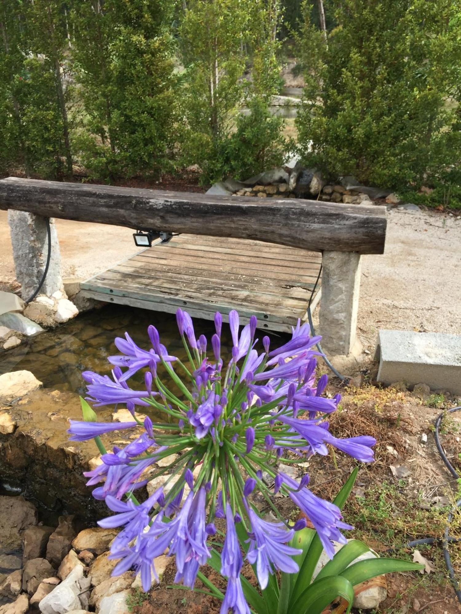 הוילה אלנקר Mountview מראה חיצוני תמונה