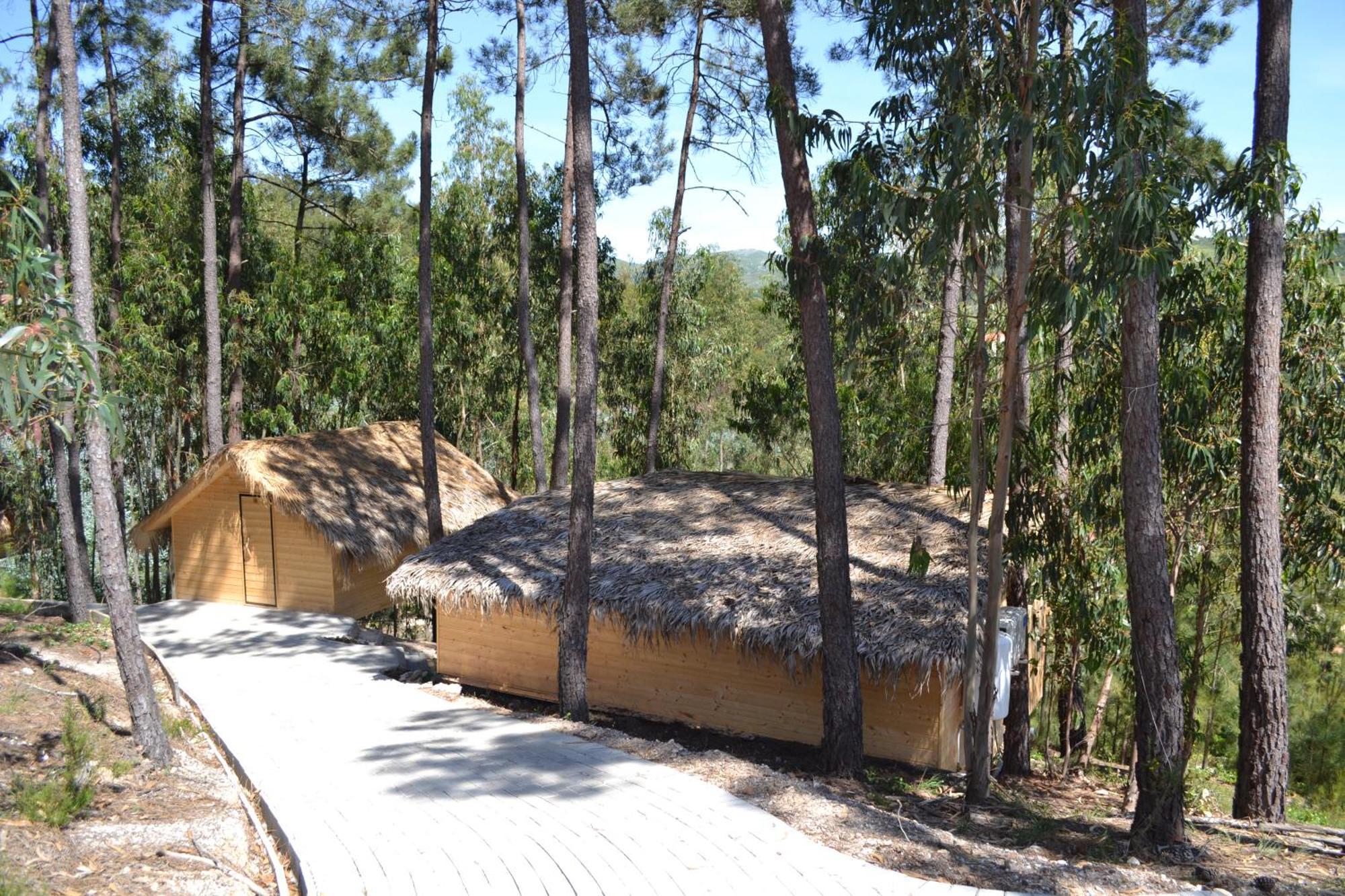 הוילה אלנקר Mountview מראה חיצוני תמונה